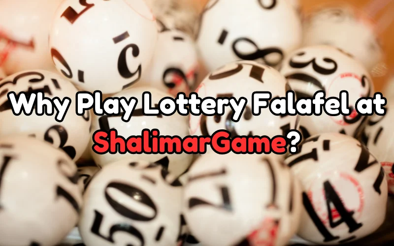 lottery falafel